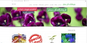 شرکت طراحی سایت ارومیه