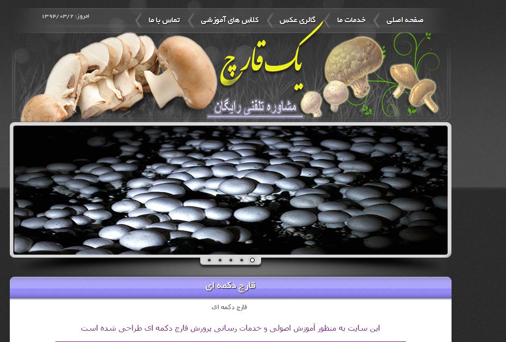 طراحی سایت تولیدی قارچ
