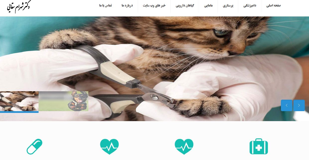 طراحی سایت پزشکان