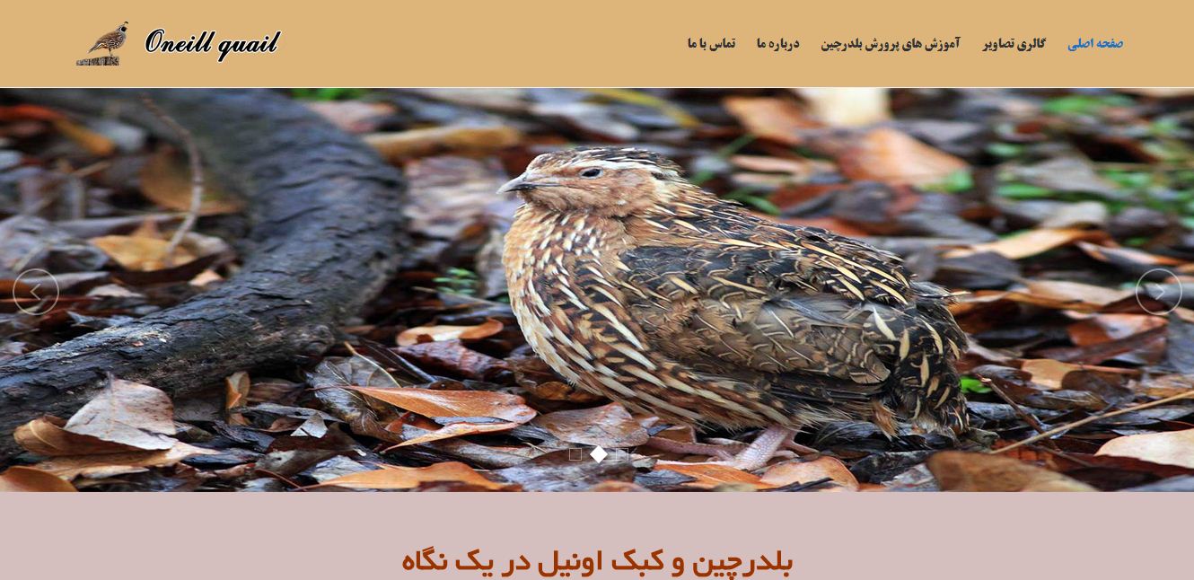 طراحی سایت مرغداری