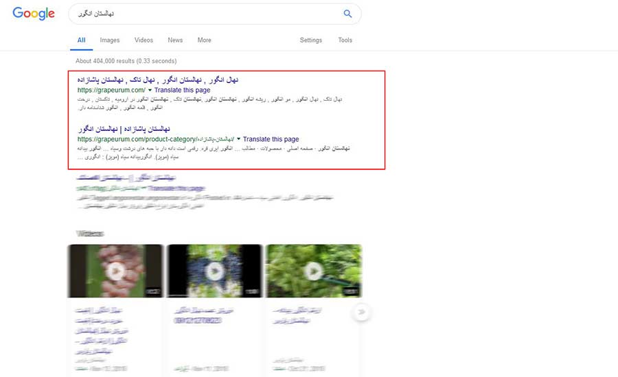 سئوی فوق حرفه ای | خدمات SEO Services | SEO