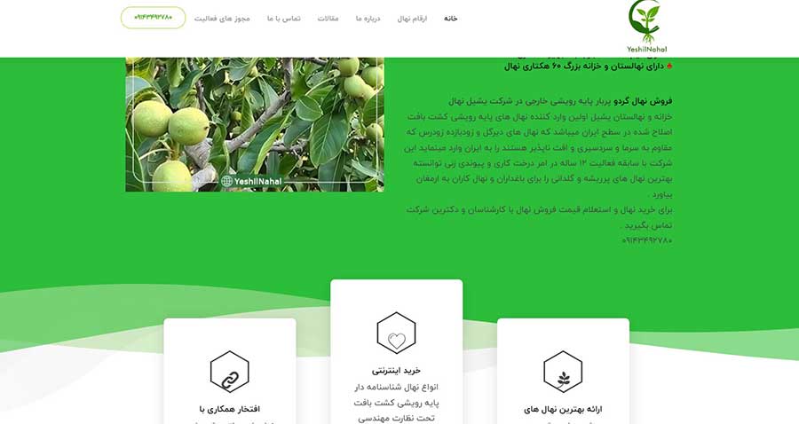 طراحی سایت نهالستان یشیل نهال