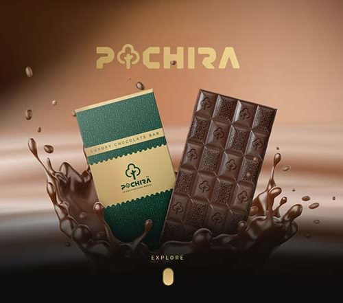طراحی سایت پاچیرا امارات