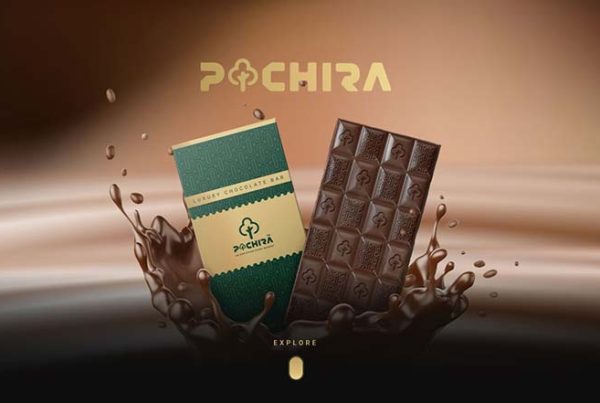 طراحی سایت پاچیرا امارات
