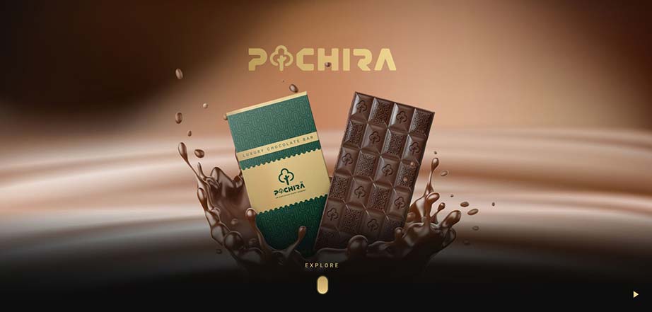 طراحی سایت پاچیرا امارات
